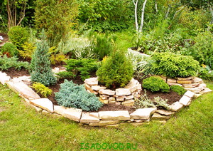 Благоустройство дачного ландшафтного дизайна