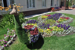 Озеленение двора