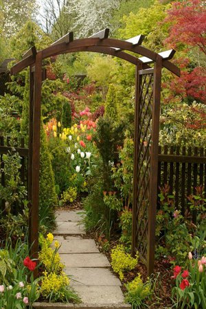 Какую роль служат перголы