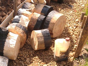 Подготовка спилов