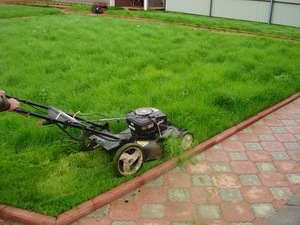 Уход за рулонным газоном