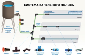 Схема капельного орошения на винограднике