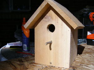 Простой способ собрать скворечник