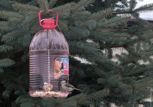 Описание способа изготовления скворечника из пластиковых бутылок