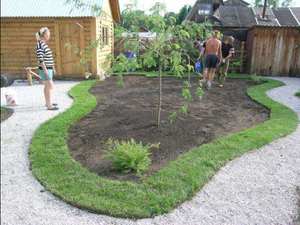 Как создать ландшафтный дизайн своими руками