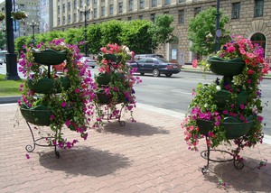 Уличные вазоны