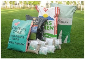 Описание разновидностей трав для газонов